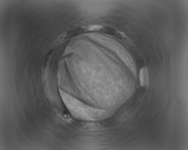 X0000082961443200702222327