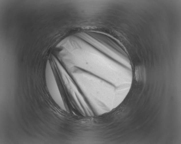 X0000082961444200702222327