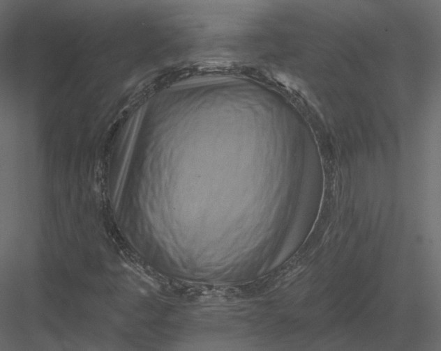 X0000082961445200702222327