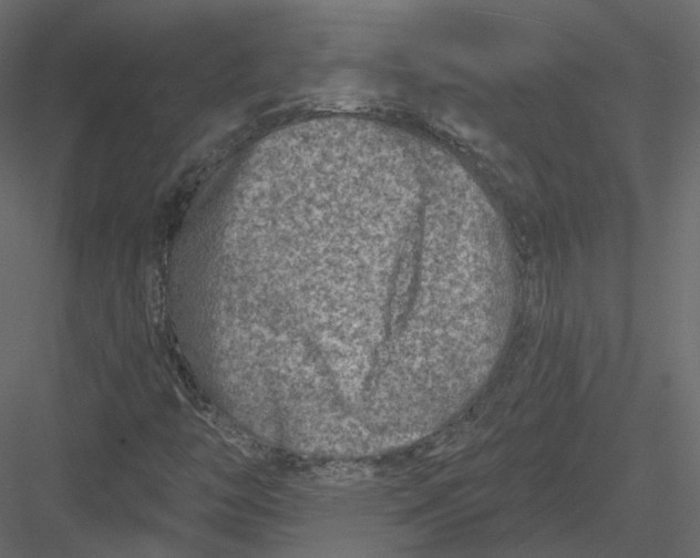 X0000082961446200702222327