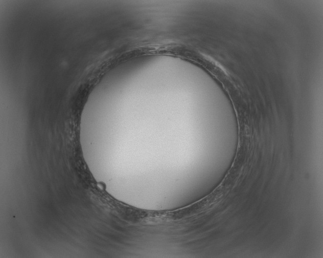 X0000082961447200702222327