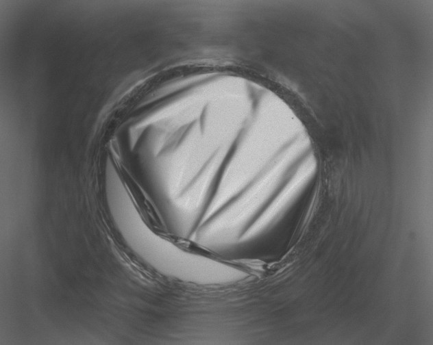 X0000082961448200702222327