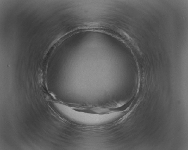 X0000082961449200702222327