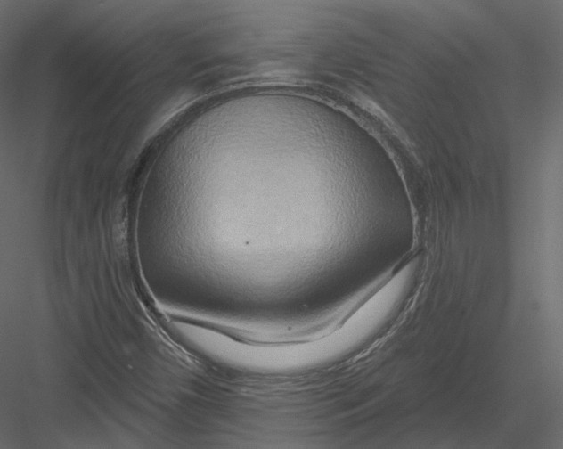 X0000082961450200702222327