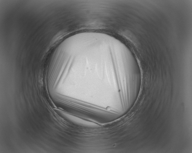 X0000082961451200702222327