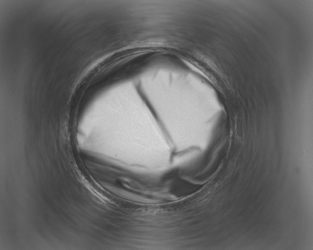 X0000082961452200702222327