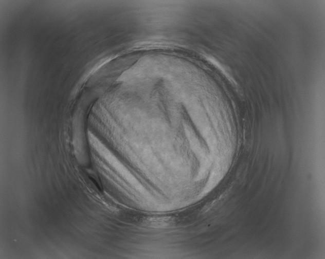 X0000082961453200702222327