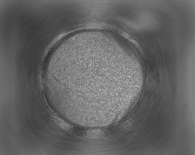 X0000082961454200702222327