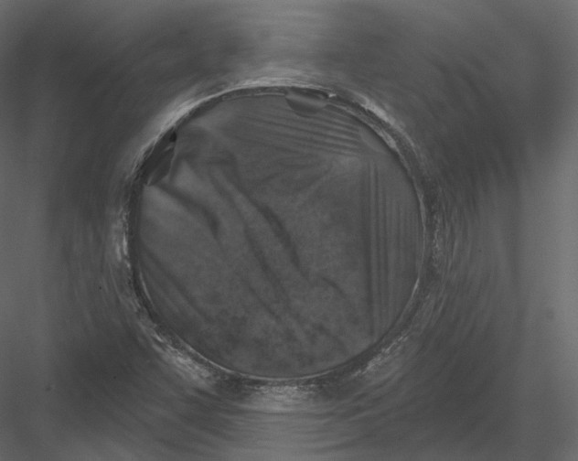 X0000082961455200702222327