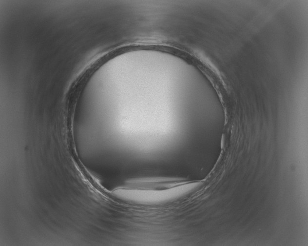 X0000082961456200702222327