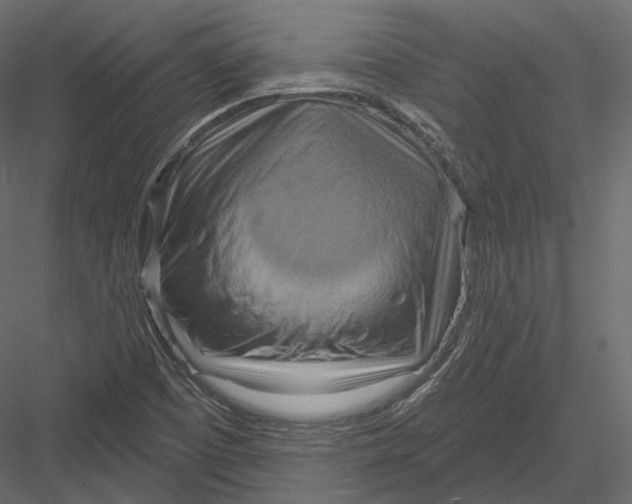 X0000082961457200702222327