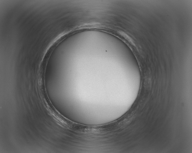 X0000082961458200702222327