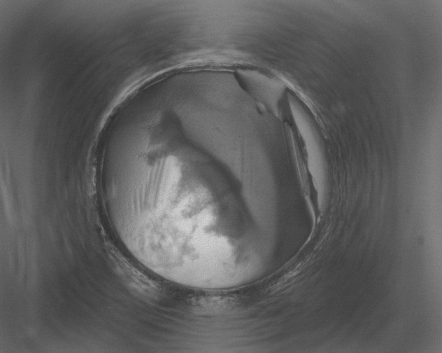 X0000082961459200702222327