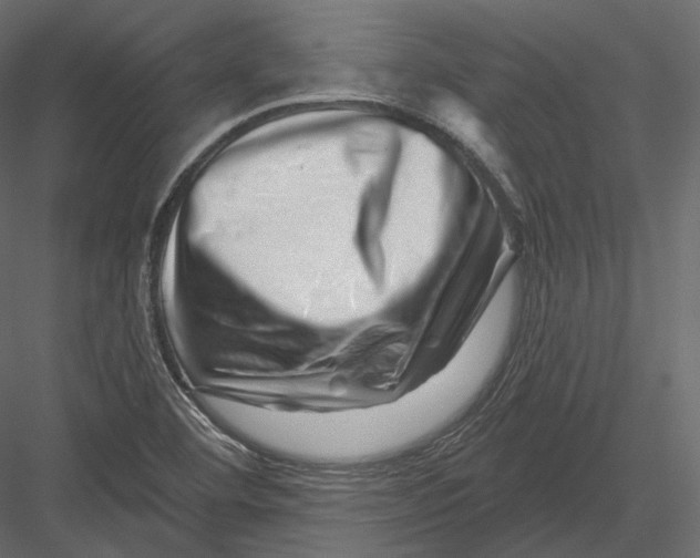 X0000082961460200702222327