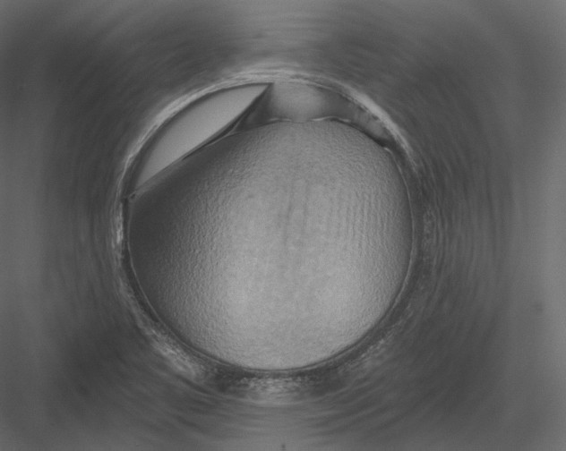 X0000082961461200702222327