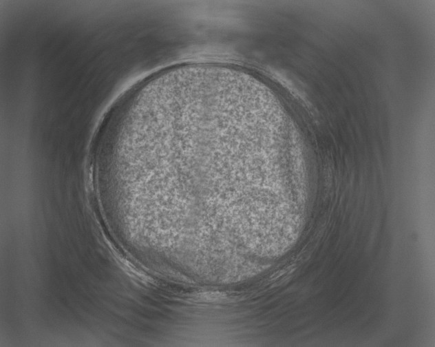 X0000082961462200702222327