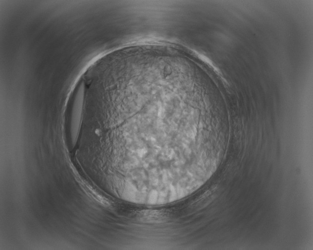 X0000082961463200702222327