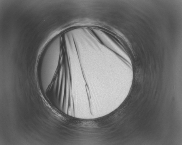 X0000082961464200702222327