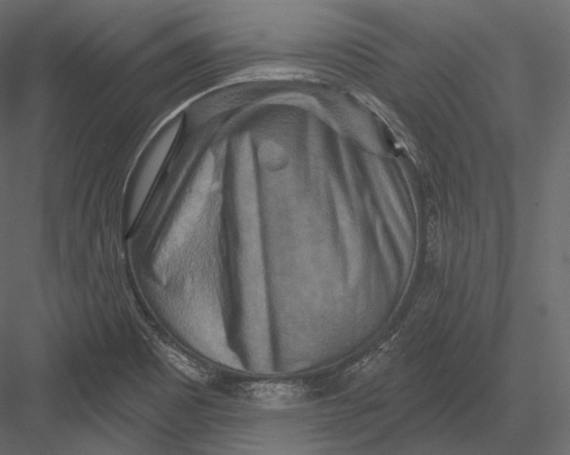 X0000082961465200702222327