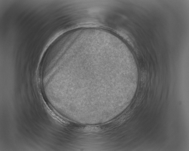 X0000082961466200702222327