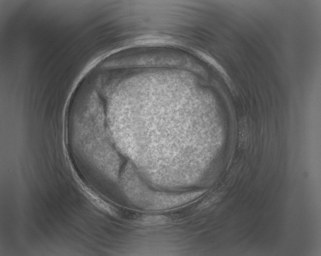 X0000082961467200702222327