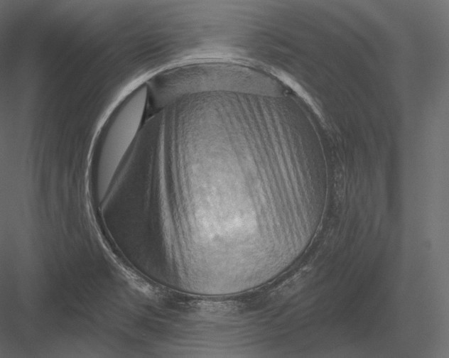 X0000082961469200702222327