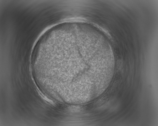 X0000082961470200702222327