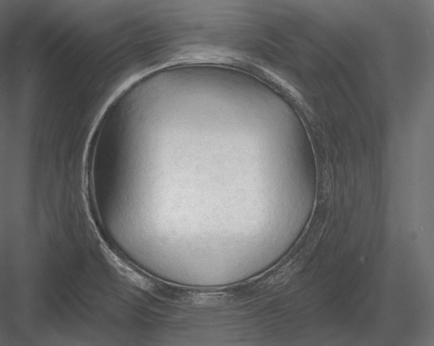 X0000082961471200702222327