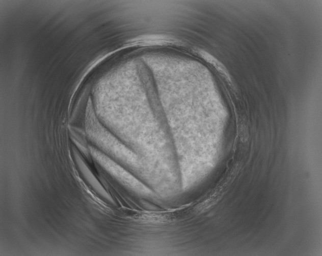 X0000082961473200702222327