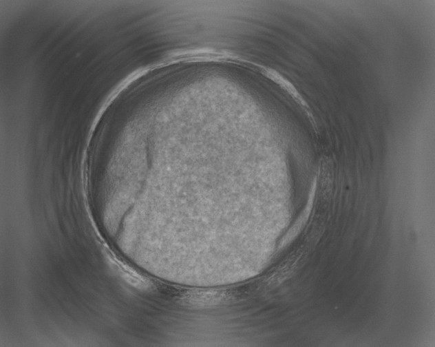 X0000082961474200702222327