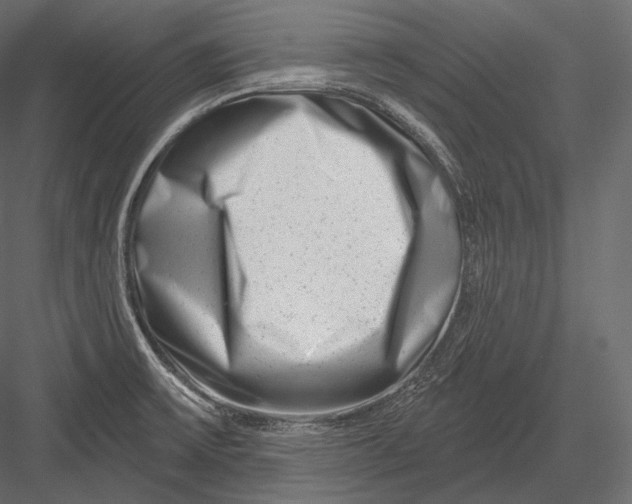 X0000082961475200702222327