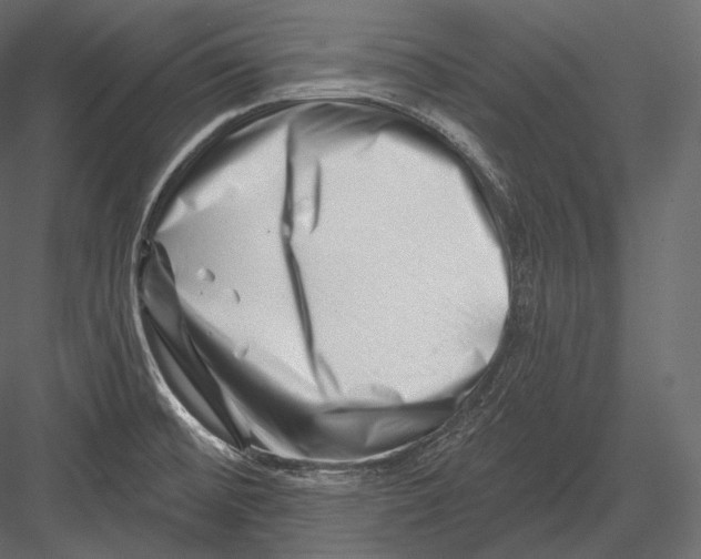 X0000082961476200702222327