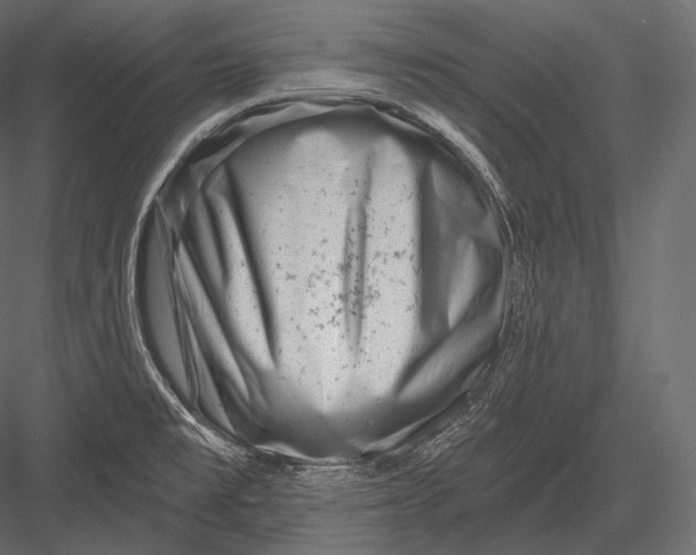 X0000082961477200702222327