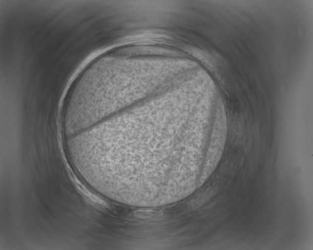 X0000082961478200702222327