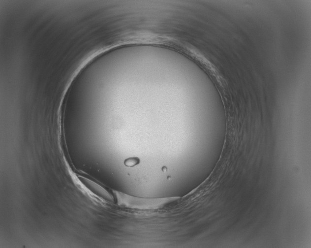 X0000082961479200702222327