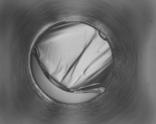 X0000082961480200702222327