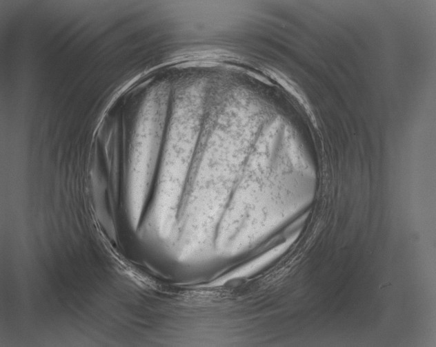 X0000082961481200702222327