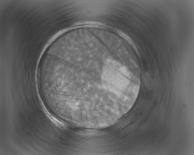 X0000082961482200702222327