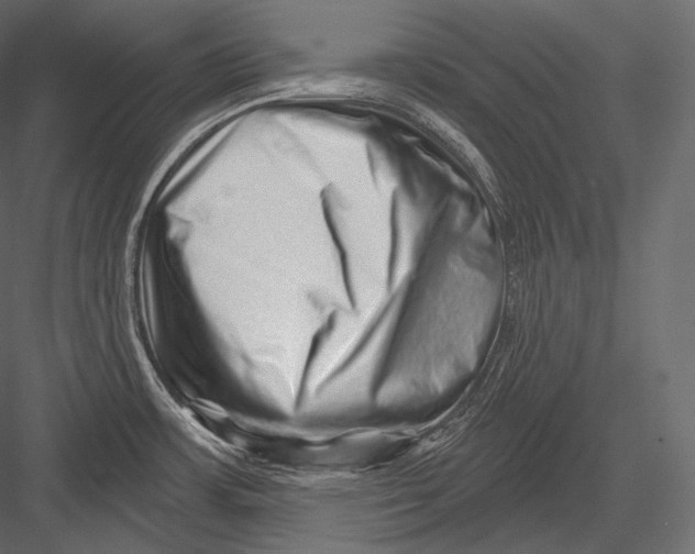 X0000082961483200702222327