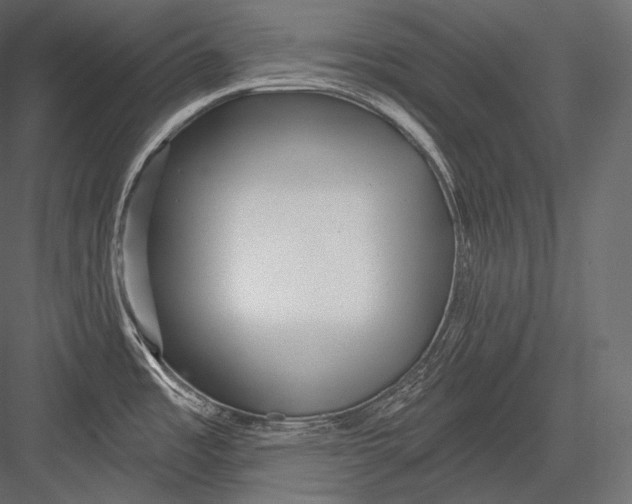 X0000082961485200702222327