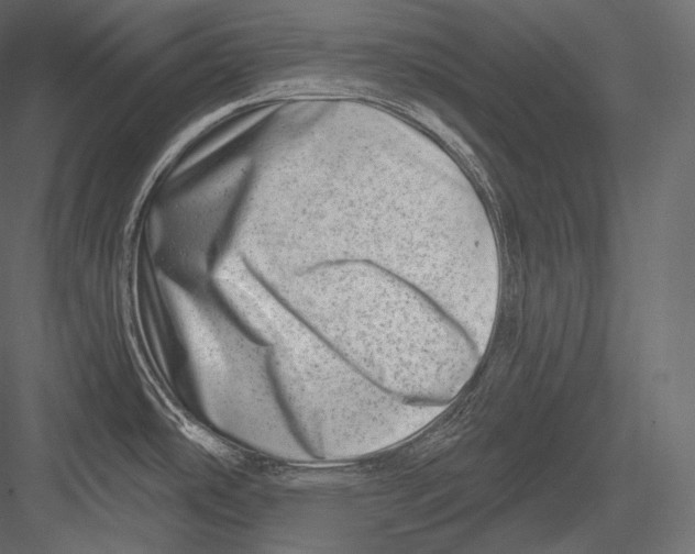 X0000082961486200702222327