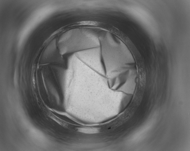 X0000082961487200702222327