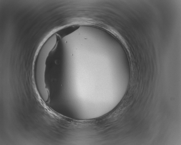 X0000082961488200702222326