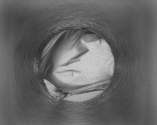 X0000082961490200702222326