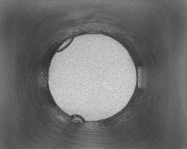 X0000082961491200702222326