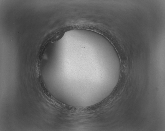 X0000082961493200702222326