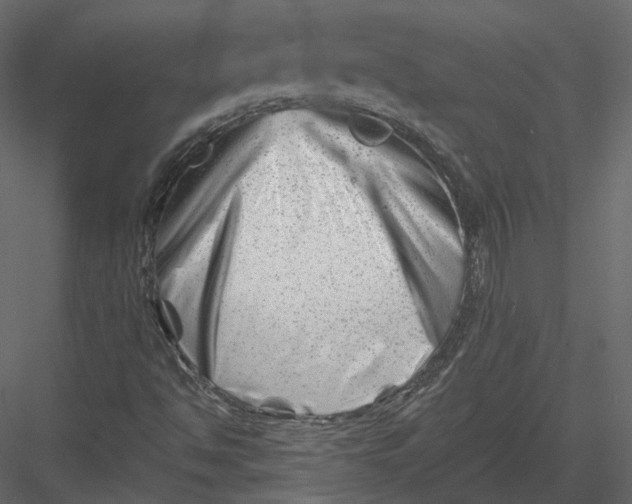 X0000082961494200702222326