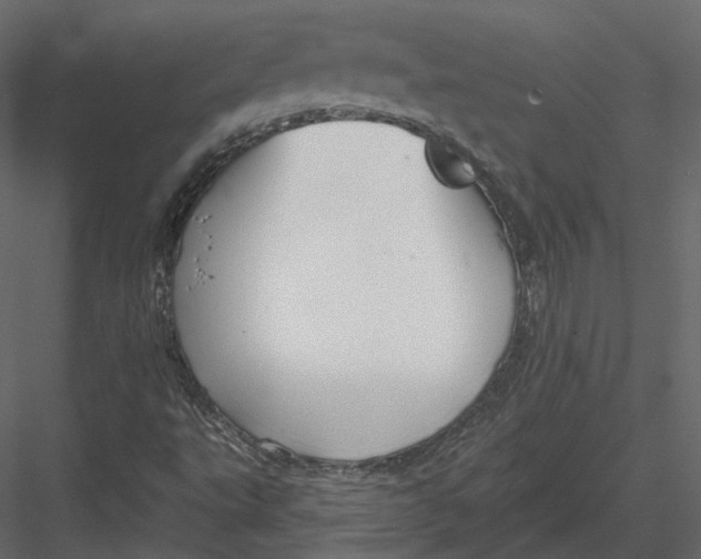 X0000082961495200702222326