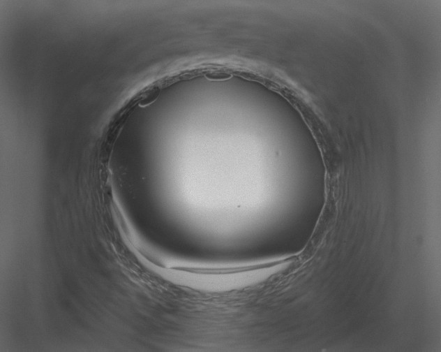 X0000082961496200702222326