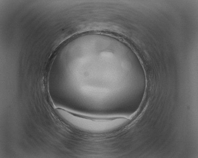 X0000082961497200702222326